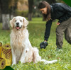 Mastering the Mess: The Ultimate Guide to the Best Durable and Leak-Proof Dog Poop Bags