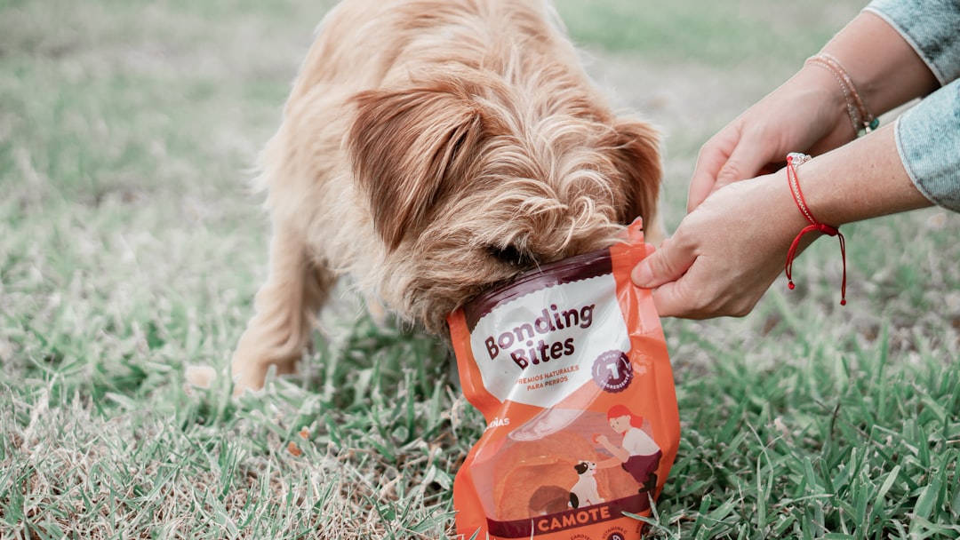 Eco-Friendly Dog Poop Bags