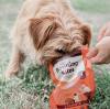 Finding the Perfect Pick-Up: Your Ultimate Guide to the Best Dog Poop Bags in 2025