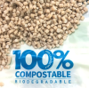 Compostable Plastic Raw Materials: A Guide to Sustainable Alternatives