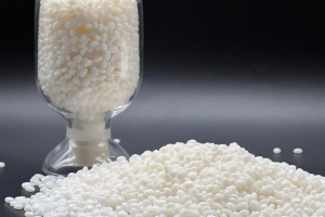 The Rise of Regenerative Wraps: Decoding the Degradable Packaging Bag Industry