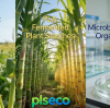 From Corn Starch to PHA: plseco’s Guide to Choosing Truly Sustainable Packaging Materials