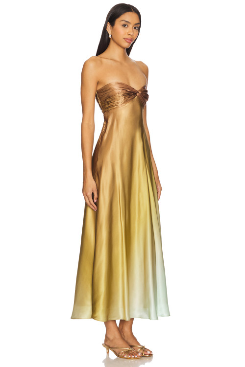 Trendy Sleeveless Backless Non slip Neckline Ruched Cups Back Side Cut out Dress for Women