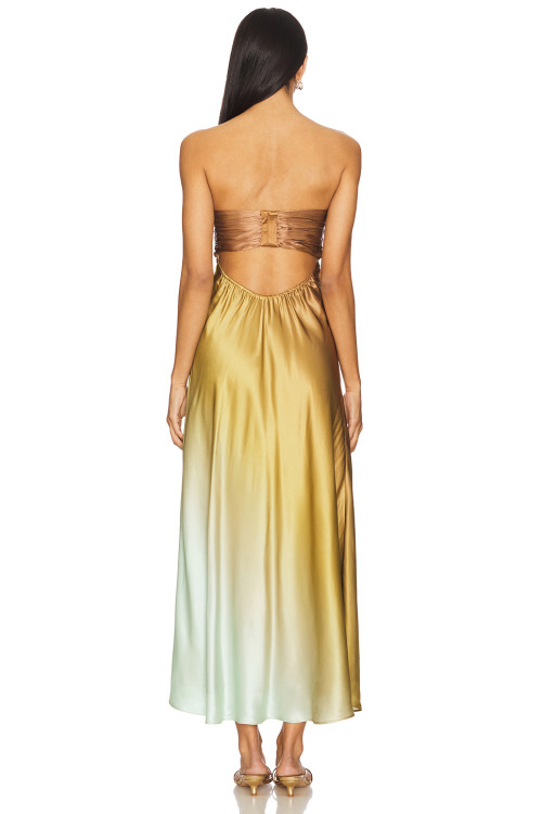 Trendy Sleeveless Backless Non slip Neckline Ruched Cups Back Side Cut out Dress for Women
