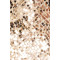 New Style One Shoulder Sleeveless Open Back Medium Weight Sequined Elegant Ladies' Dress