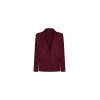 China manufactory 2025 New Design Custom color Fashionable Versatile Ladies Blazer