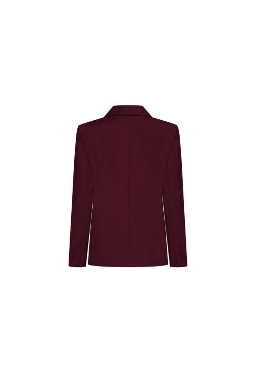 China manufactory 2025 New Design Custom color Fashionable Versatile Ladies Blazer