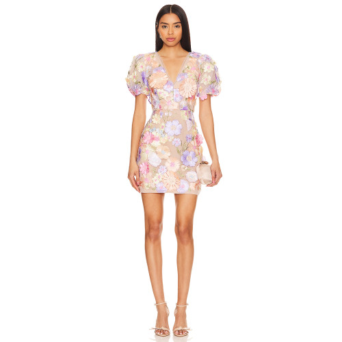 Fashionable Ladies' Tulle Fabric Three D Floral Embroidery V Neck Puff Sleeve Mini Dress