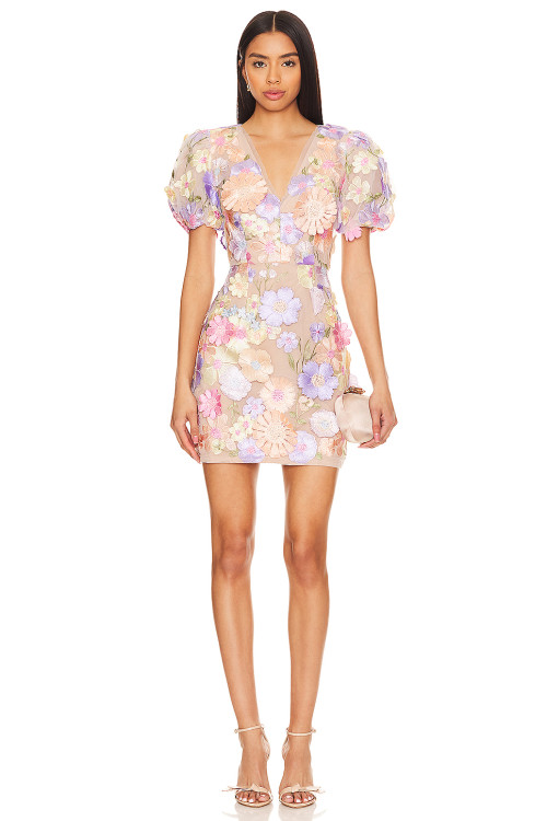 Fashionable Ladies' Tulle Fabric Three D Floral Embroidery V Neck Puff Sleeve Mini Dress