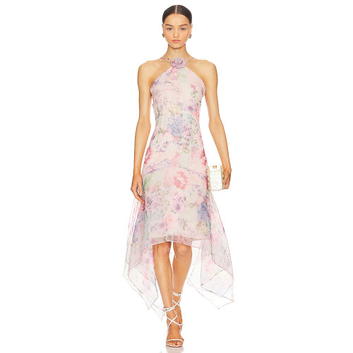 Fahionable Hot sale Sleeveless Halter neck Floral printed Elegant Woman's Long Dress
