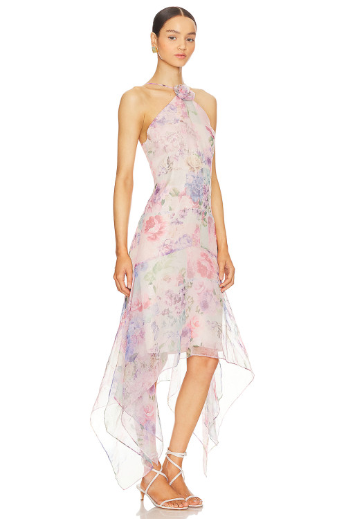 Fahionable Hot sale Sleeveless Halter neck Floral printed Elegant Woman's Long Dress