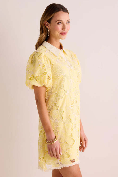 Customized High Quality Spread Collar Button Placket  Puff Sleeve Lace Embroidered Dress