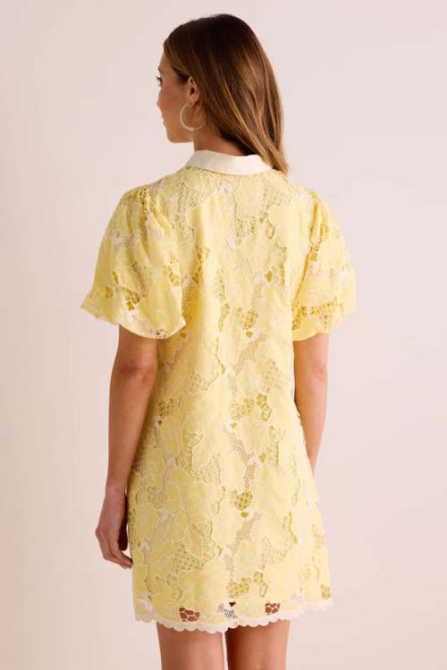 Customized High Quality Spread Collar Button Placket  Puff Sleeve Lace Embroidered Dress