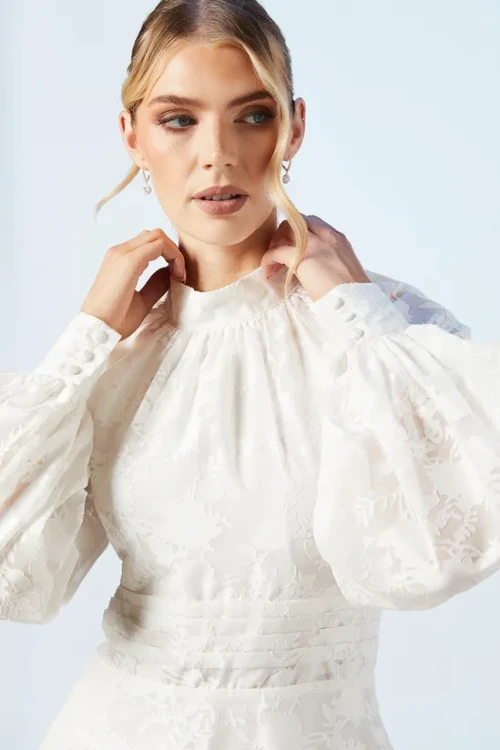 Elegant High Neckline Puff Sleeve Ruffle Tight Waist Solid Color Floral Embroidered Dress