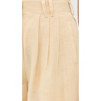 Sample Daily Pleated Front Solid Color Hook-And-Eye Closures At Waist Casual Pants