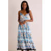 Elegant Free V-Neckline Sleeveless Backless A-line silhouette Floral Print Dress