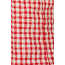 Textured Romantic Chic Vintage-inspired Sweetheart neckline Structured Fitting Woman's Mini Dress