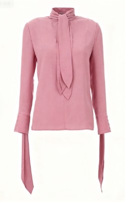 High neckline Long sleeves Elegant Exquisite Fashionable Delicate Woman's Blouses