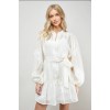 Long sleeves High quality Hot sale Chiffon fabric and Embroidery Woman's Mini Dress