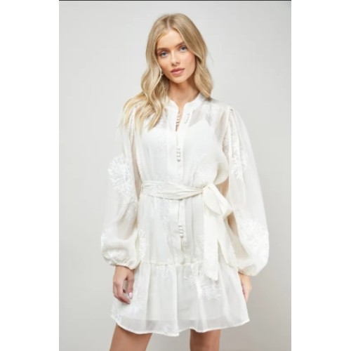 Long sleeves High quality Hot sale Chiffon fabric and Embroidery Woman's Mini Dress