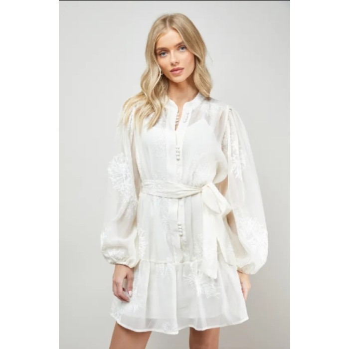 Long sleeves High quality Hot sale Chiffon fabric and Embroidery Woman's Mini Dress