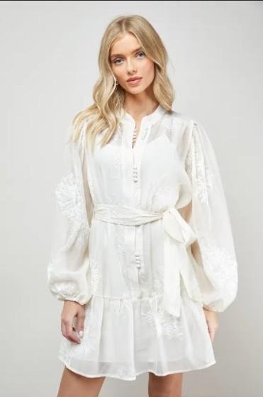 Long sleeves High quality Hot sale Chiffon fabric and Embroidery Woman's Mini Dress