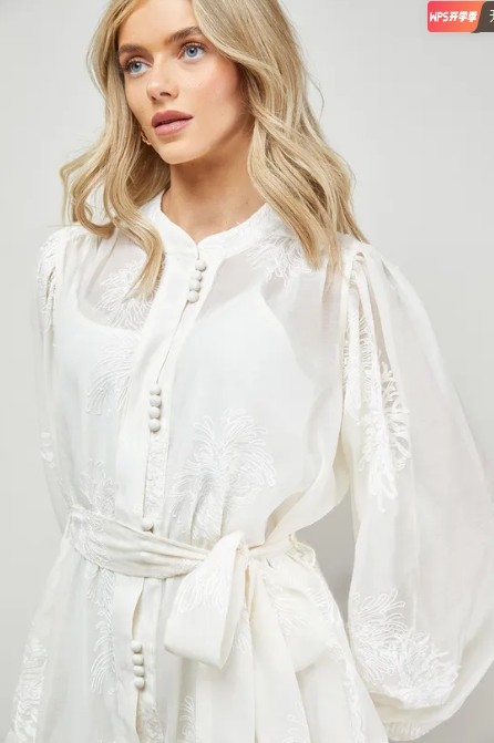 Long sleeves High quality Hot sale Chiffon fabric and Embroidery Woman's Mini Dress