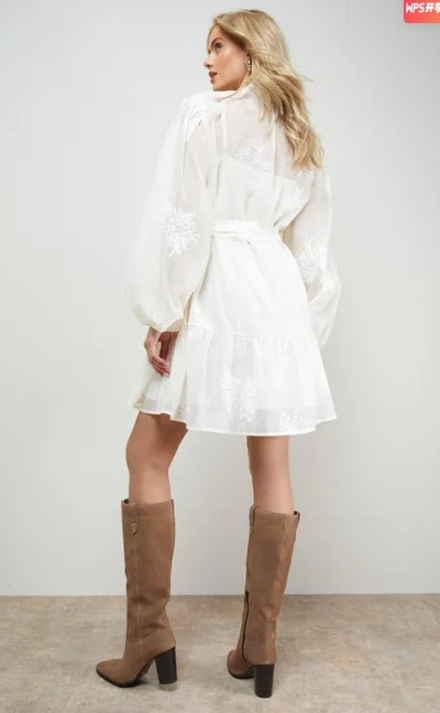 Long sleeves High quality Hot sale Chiffon fabric and Embroidery Woman's Mini Dress