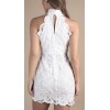Floral patterns Halter High neckline Cut out back Sleeveless Woman's Mini Lace Dress