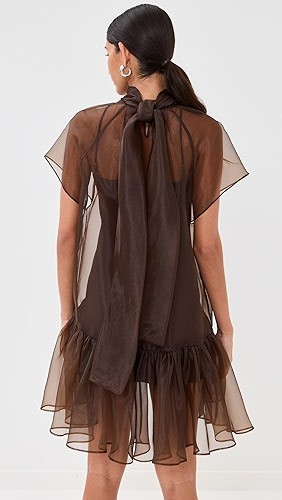 Modernly Feminine Romantically ruffled Airy Sheer High quality Woman's Mini Dress