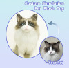Simulated Pets: The Cozy Companions of Modern Life