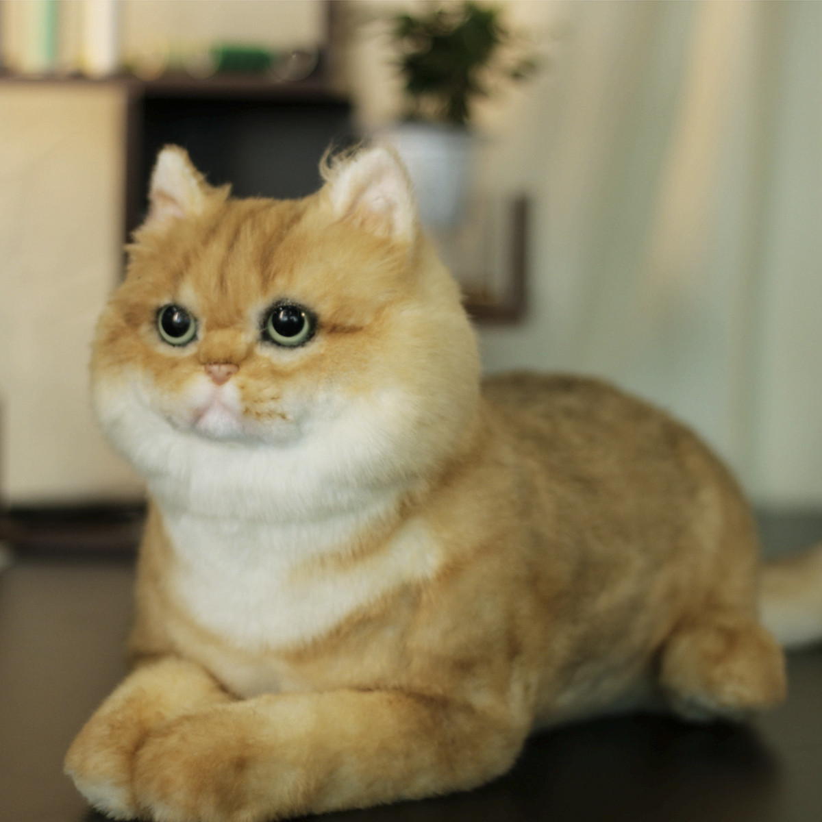 Simulated pet plush toys