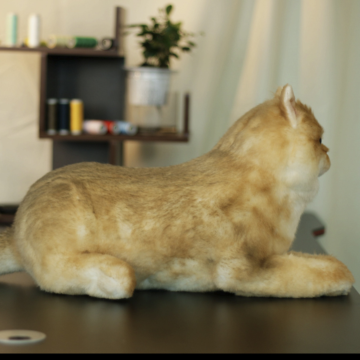 Simulated pet plush toys