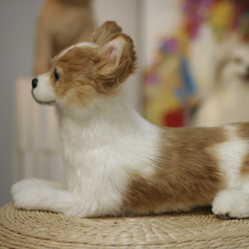 Custom Simulation Corgi | Custom Stuffed Pet for Your Dog | Restore the Cuteness of Pets