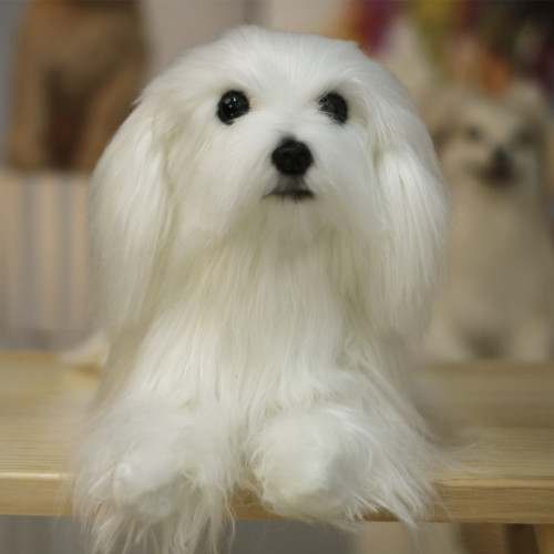 Custom Simulation Maltese Dog | Custom Realistic Pet | Emotional Support Clone Pet