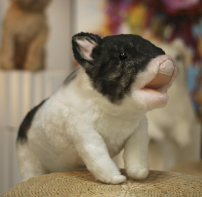 Personalized simulation plush pig | Capture your cute pig pet