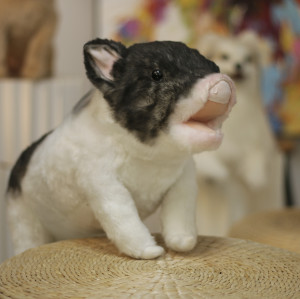 Personalized simulation plush pig | Capture your cute pig pet