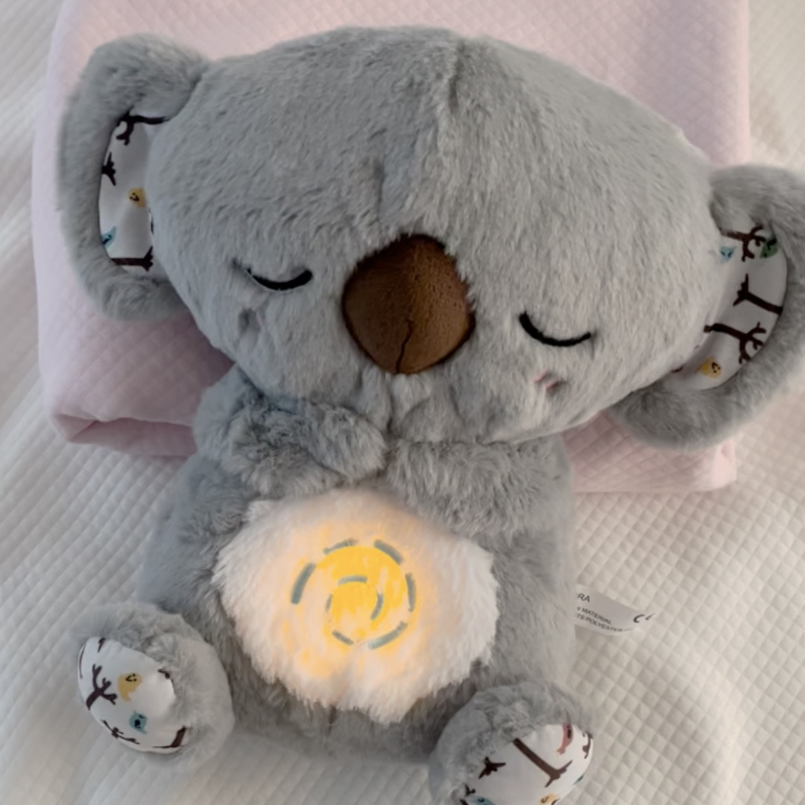 Electronic plush toys