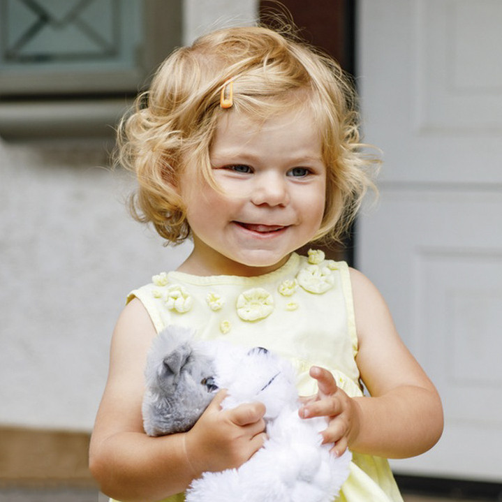 Disinfection method for baby plush toys