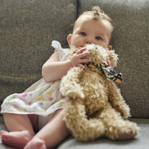 Does plush toys breed bacteria and mites? I will teach you the method of maternal and child level disinfection