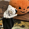 Plush doll Halloween costume | ghost cat Halloween cape