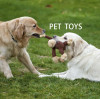 The best indestructible plush dog toy chews heavily