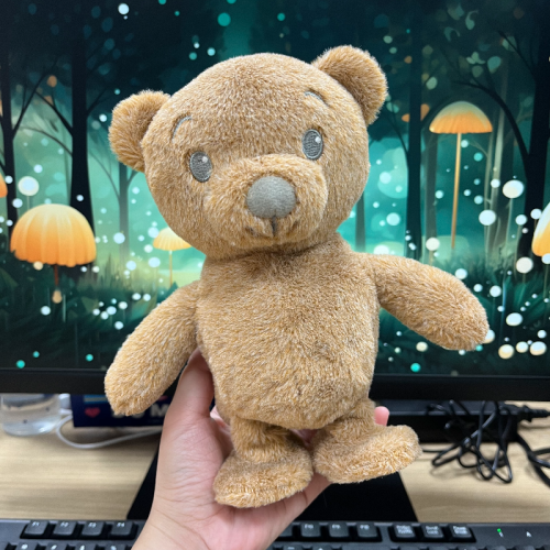 Electronic Plush Bear | Children's Recording Walking Gift | Support Teddy Bear Customization