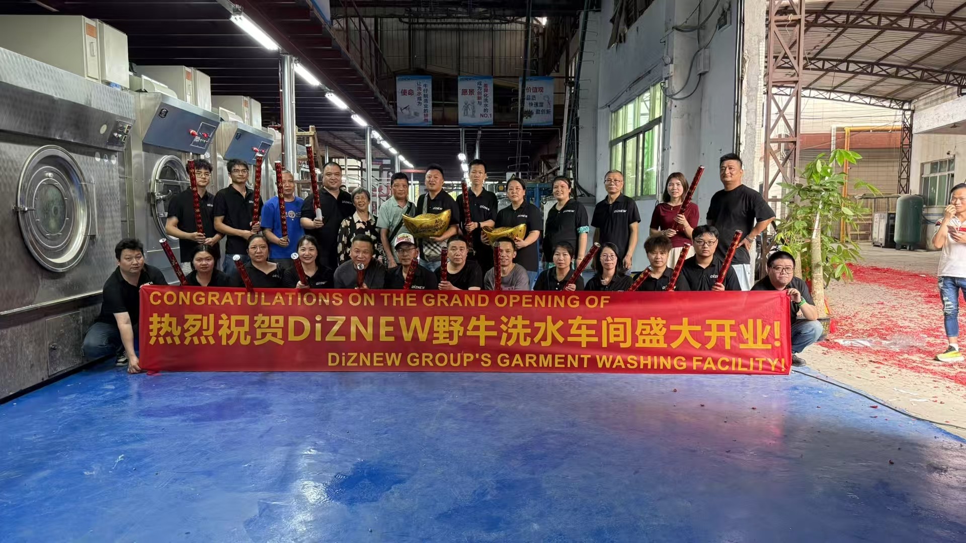 DiZNEW washing plant