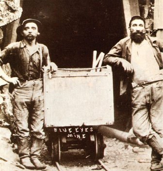 From Gold Rush to Global Mills: Blue Jeans’ Journey
