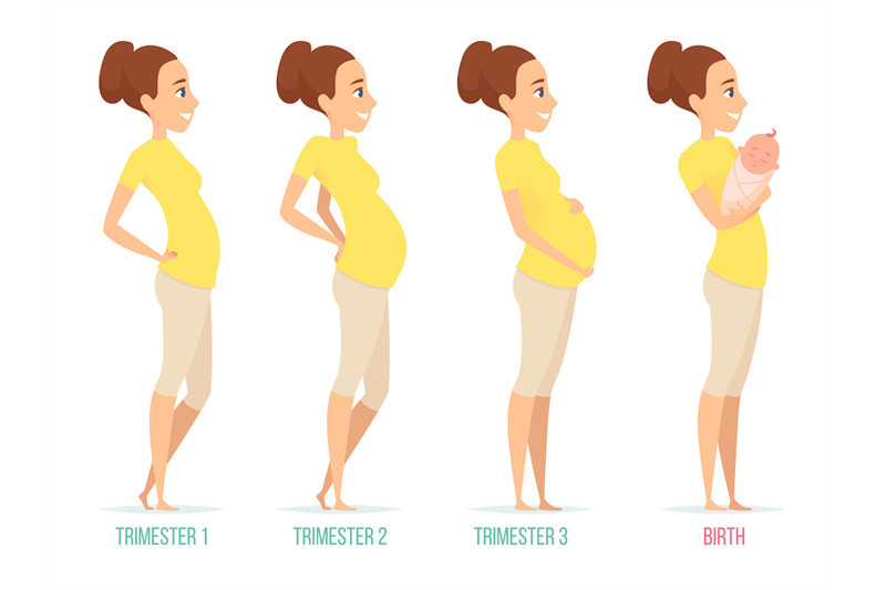 Pregnancy Jeans Overview by Stage