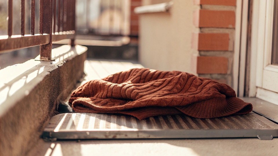 The main disadvantages of wool are its risk of shrinking with heat