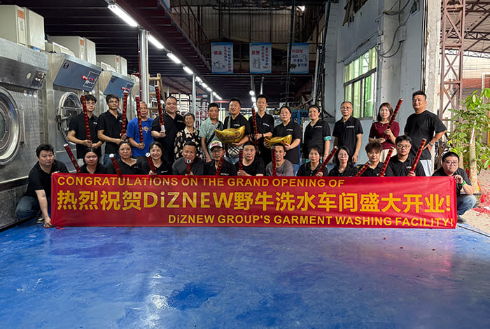 DiZNEW washing factory