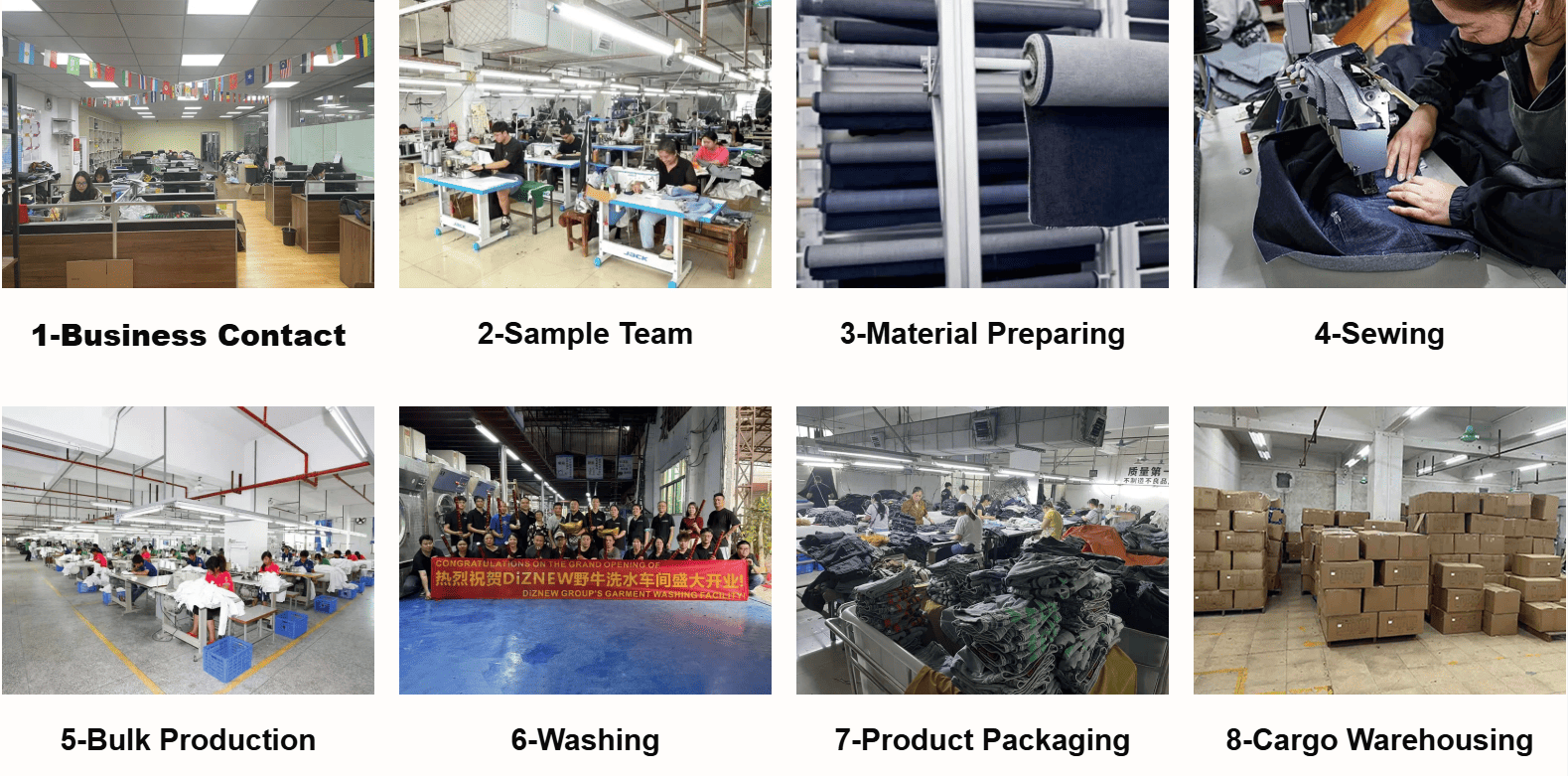 diznew production process