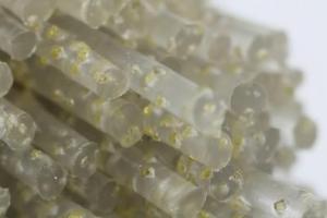 Sleekeven Abrasive Filament: The Ideal Choice for Stone Surface Processing